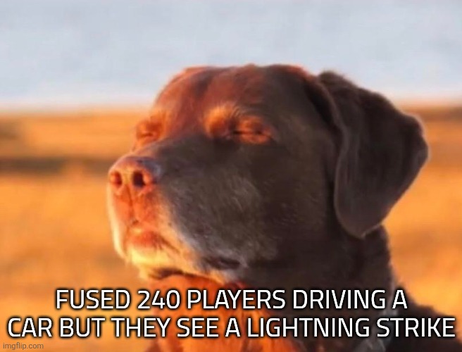 fyi the player becomes a machine,fused 240 was made by creator of buckshot roulette | FUSED 240 PLAYERS DRIVING A CAR BUT THEY SEE A LIGHTNING STRIKE | image tagged in dog accepting fate | made w/ Imgflip meme maker
