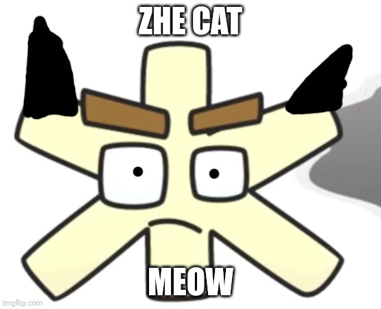 Zhe cat | ZHE CAT; MEOW | image tagged in zhe confused | made w/ Imgflip meme maker
