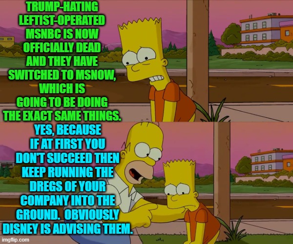 Wisdom and insightfulness.  These things can even happen to Homer. | TRUMP-HATING LEFTIST-OPERATED MSNBC IS NOW OFFICIALLY DEAD AND THEY HAVE SWITCHED TO MSNOW, WHICH IS GOING TO BE DOING THE EXACT SAME THINGS. YES, BECAUSE IF AT FIRST YOU DON'T SUCCEED THEN KEEP RUNNING THE DREGS OF YOUR COMPANY INTO THE GROUND.  OBVIOUSLY DISNEY IS ADVISING THEM. | image tagged in worst day of my life | made w/ Imgflip meme maker