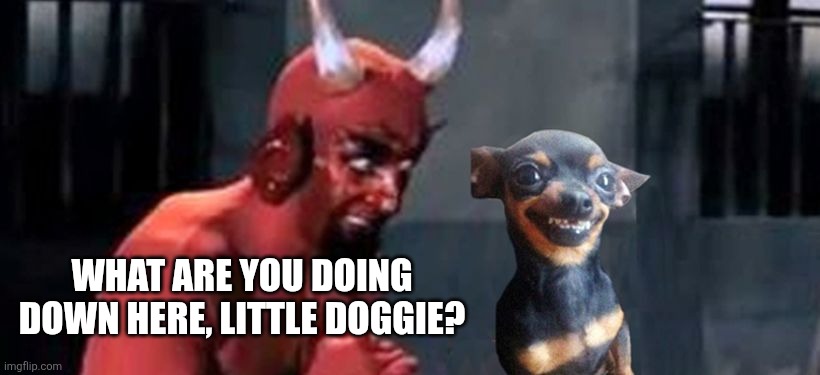 diablo y perro | WHAT ARE YOU DOING DOWN HERE, LITTLE DOGGIE? | image tagged in diablo y perro | made w/ Imgflip meme maker