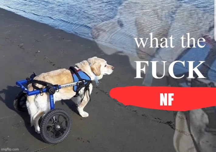 NF | image tagged in what the fuck is oatmeal | made w/ Imgflip meme maker