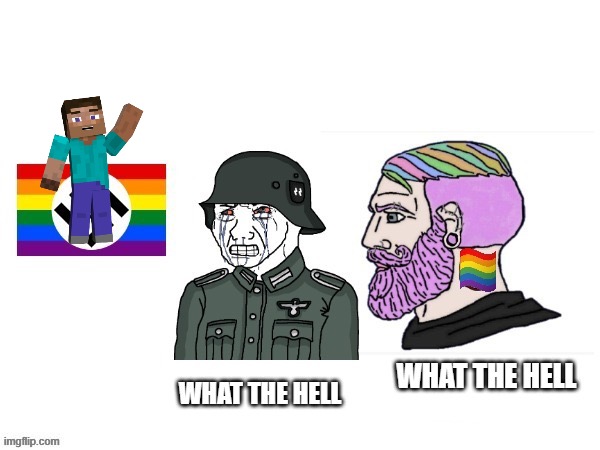 Censored version (used Element Animation’s Steve) | image tagged in lgbt,element animation,nazi,wojak,censored,minecraft | made w/ Imgflip meme maker