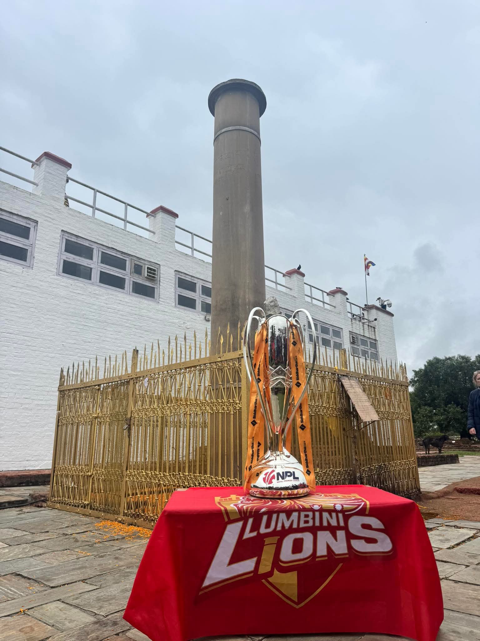 Funny Blank Meme Template