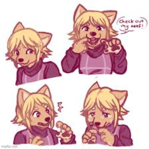 why furry | image tagged in furry,memes | made w/ Imgflip meme maker