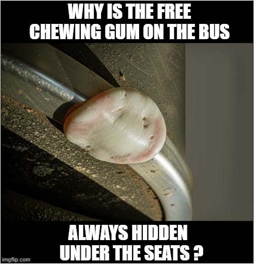 This Does Annoy Me ! | WHY IS THE FREE CHEWING GUM ON THE BUS; ALWAYS HIDDEN 
  UNDER THE SEATS ? | image tagged in annoying,free,gum,bus | made w/ Imgflip meme maker