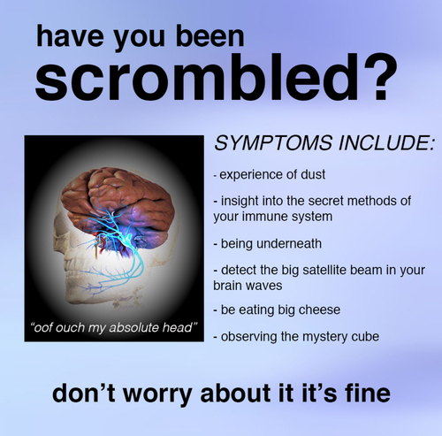 have you been scrombled? Blank Meme Template