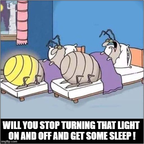 A Glow Worms Woes ! | WILL YOU STOP TURNING THAT LIGHT
 ON AND OFF AND GET SOME SLEEP ! | image tagged in glow,worms,woes | made w/ Imgflip meme maker