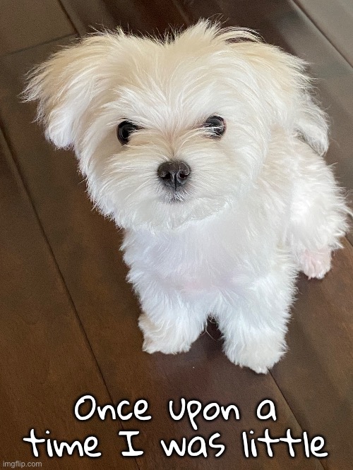 Once upon a time I was little | made w/ Imgflip meme maker