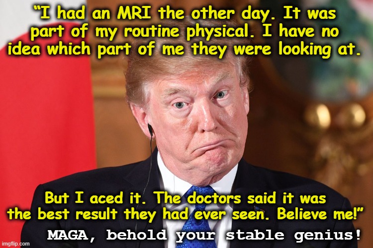 tRumps gets MRI | “I had an MRI the other day. It was part of my routine physical. I have no idea which part of me they were looking at. But I aced it. The doctors said it was the best result they had ever seen. Believe me!”; MAGA, behold your stable genius! | image tagged in donald trump,trump,stable genius,maga,donald trump is an idiot,nevertrump | made w/ Imgflip meme maker