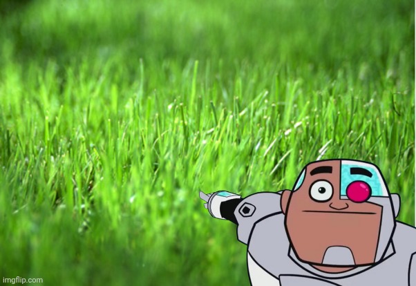 grass is greener | image tagged in grass is greener | made w/ Imgflip meme maker