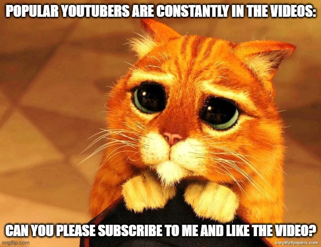 POPULAR YOUTUBERS ARE CONSTANTLY IN THE VIDEOS: | POPULAR YOUTUBERS ARE CONSTANTLY IN THE VIDEOS:; CAN YOU PLEASE SUBSCRIBE TO ME AND LIKE THE VIDEO? | image tagged in puss in boots shrek cat begging | made w/ Imgflip meme maker