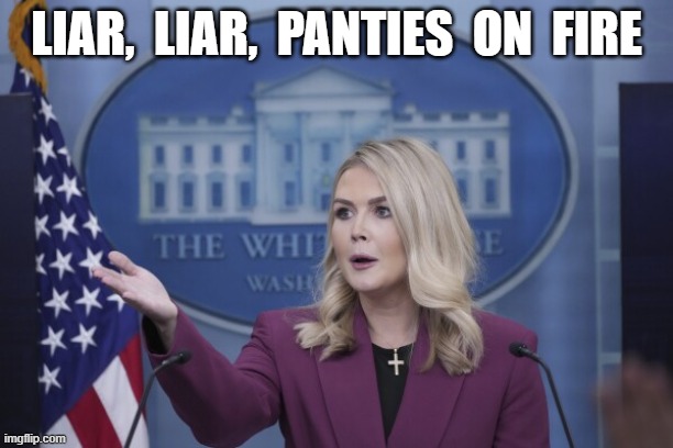 Bearing Her Cross | LIAR,  LIAR,  PANTIES  ON  FIRE | image tagged in maga | made w/ Imgflip meme maker