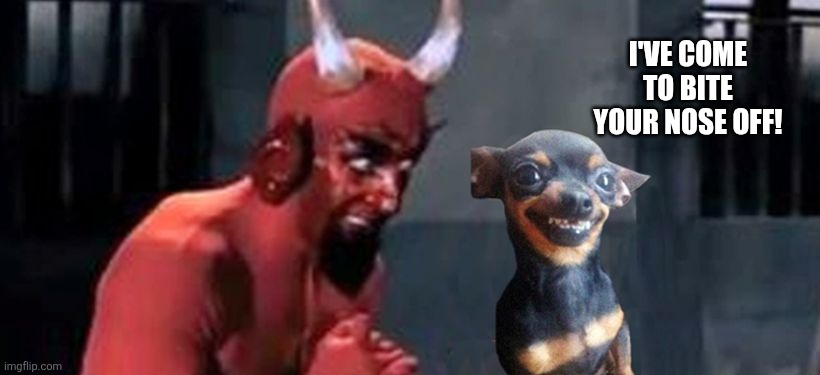 diablo y perro | I'VE COME TO BITE YOUR NOSE OFF! | image tagged in diablo y perro | made w/ Imgflip meme maker