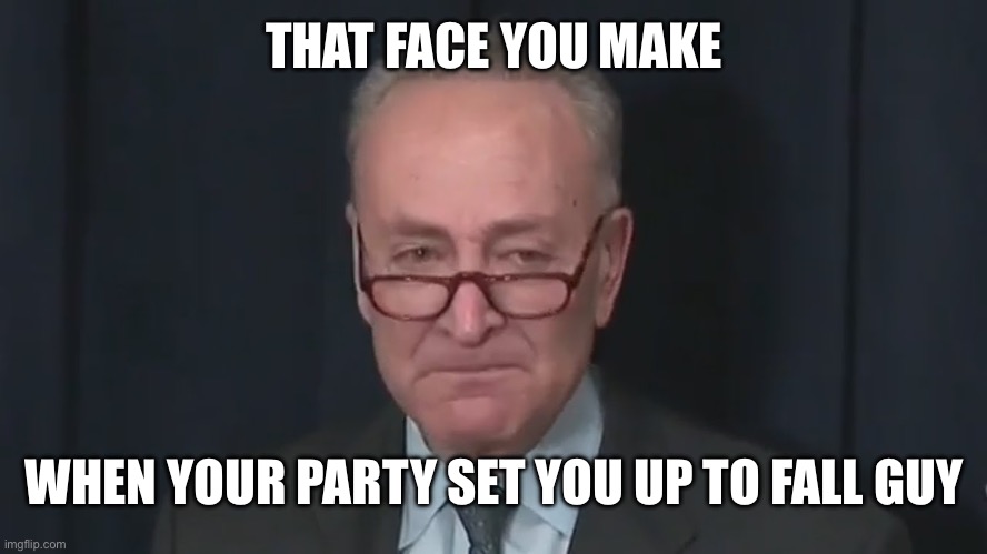 Shut Down | THAT FACE YOU MAKE; WHEN YOUR PARTY SET YOU UP TO FALL GUY | image tagged in chuck schumer crying,liberal logic,liberal hypocrisy,stupid liberals | made w/ Imgflip meme maker
