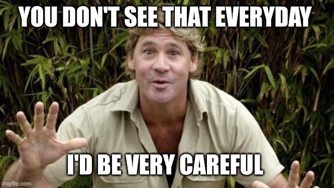 Steve Irwin Crocodile Hunter | YOU DON'T SEE THAT EVERYDAY I'D BE VERY CAREFUL | image tagged in steve irwin crocodile hunter | made w/ Imgflip meme maker
