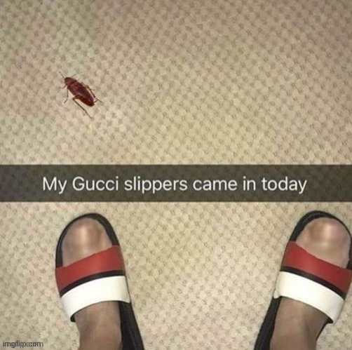 random pull from gallery part 3 | made w/ Imgflip meme maker