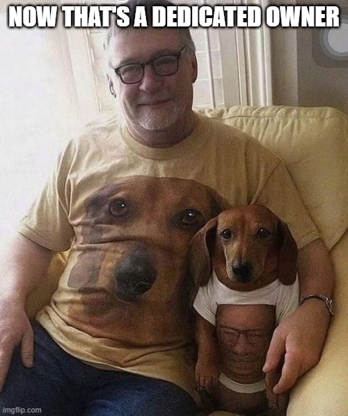 Shirts | NOW THAT'S A DEDICATED OWNER | image tagged in dogs | made w/ Imgflip meme maker