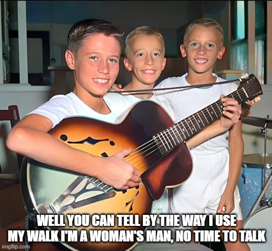 Young Bee Gees | WELL YOU CAN TELL BY THE WAY I USE MY WALK I'M A WOMAN'S MAN, NO TIME TO TALK | image tagged in music,bee gees | made w/ Imgflip meme maker