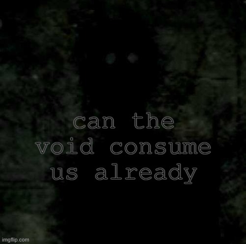 can the void consume us already | image tagged in can the void consume us already | made w/ Imgflip meme maker