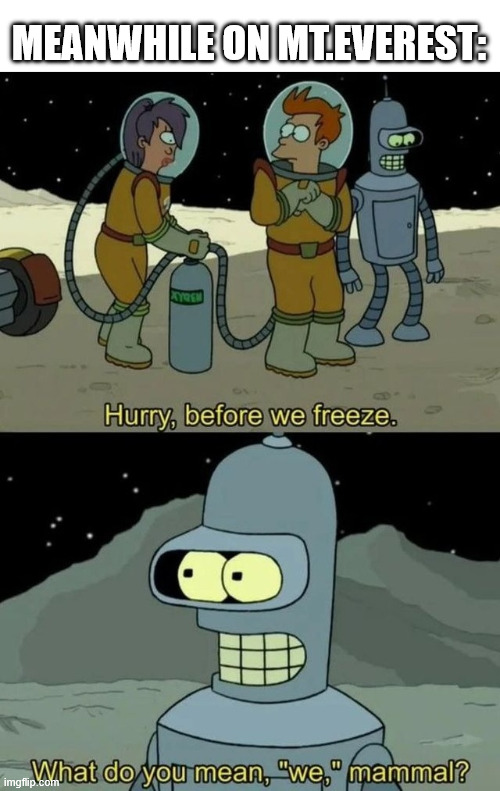Climbing MT.Everest | MEANWHILE ON MT.EVEREST: | image tagged in bender lattice climbing,lattice climbing,dark humor,futurama,bender,latticeclimbing | made w/ Imgflip meme maker