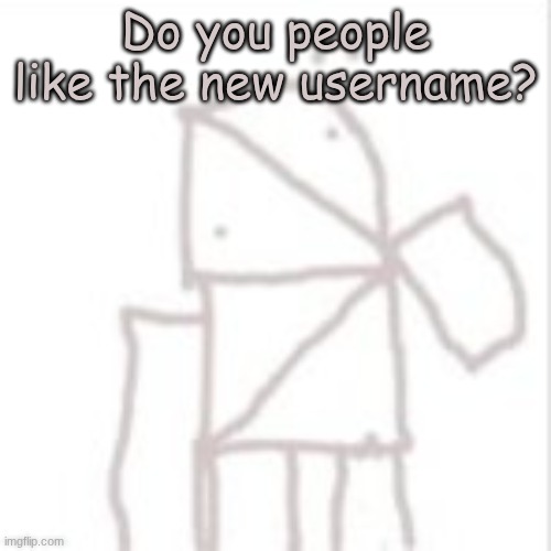 Parcelboy confused | Do you people like the new username? | image tagged in parcelboy confused | made w/ Imgflip meme maker