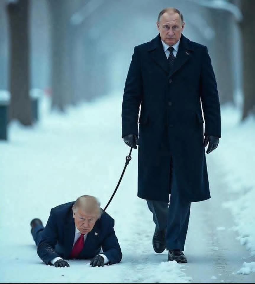 Trump on putins leash Blank Meme Template