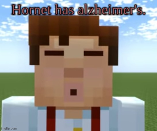 ishowjessie | Hornet has alzheimer's. | image tagged in ishowjessie | made w/ Imgflip meme maker