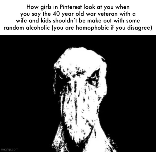 Staring Shoebill | How girls in Pinterest look at you when you say the 40 year old war veteran with a wife and kids shouldn’t be make out with some random alcoholic (you are homophobic if you disagree) | image tagged in staring shoebill | made w/ Imgflip meme maker