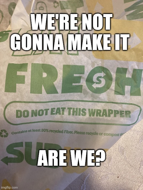 We're Not Gonna Make It | WE'RE NOT GONNA MAKE IT; ARE WE? | image tagged in chris joines | made w/ Imgflip meme maker