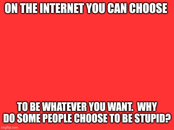 Choose to be stupid | ON THE INTERNET YOU CAN CHOOSE; TO BE WHATEVER YOU WANT.  WHY DO SOME PEOPLE CHOOSE TO BE STUPID? | image tagged in funny memes | made w/ Imgflip meme maker