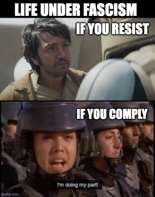 The trick is to avoid fascism | LIFE UNDER FASCISM; IF YOU RESIST; IF YOU COMPLY | image tagged in andor just a tourist,starship troopers doing my part | made w/ Imgflip meme maker