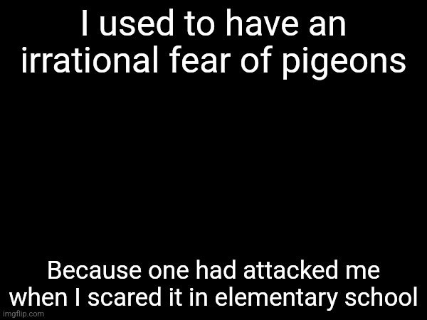 I used to have an irrational fear of pigeons; Because one had attacked me when I scared it in elementary school | made w/ Imgflip meme maker