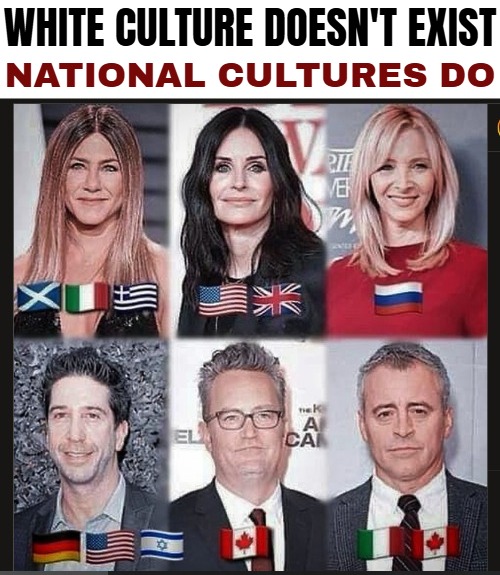 WHITE CULTURE DOESN'T EXIST; NATIONAL CULTURES DO | image tagged in culture,memes | made w/ Imgflip meme maker