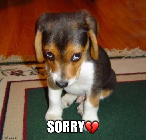 SORRY? | image tagged in sorry | made w/ Imgflip meme maker