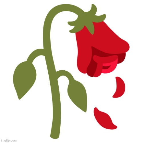 wilted rose | image tagged in wilted rose | made w/ Imgflip meme maker