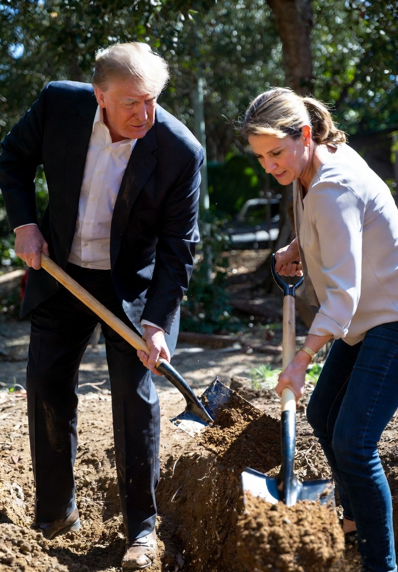 Trump woman digging a hole law of holes Blank Meme Template
