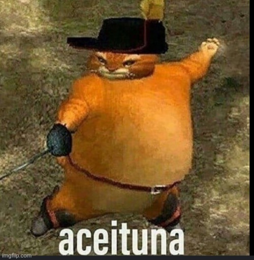 Fat Puss in Boots | image tagged in fat puss in boots | made w/ Imgflip meme maker