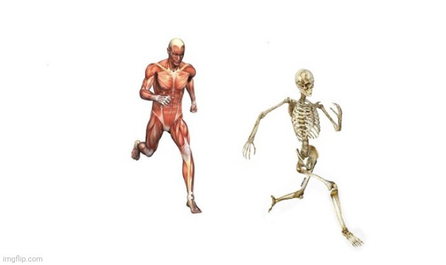 Sai maluco todo dia isso | image tagged in sai maluco todo dia isso | made w/ Imgflip meme maker