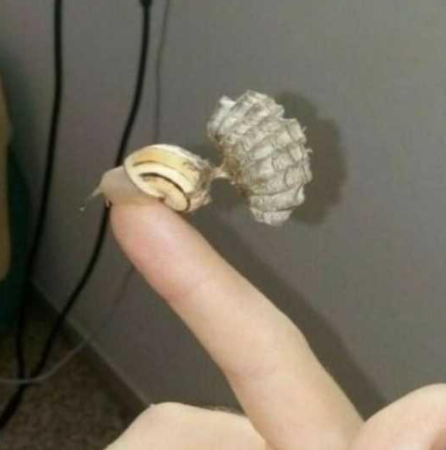 aircraft carrier Blank Meme Template