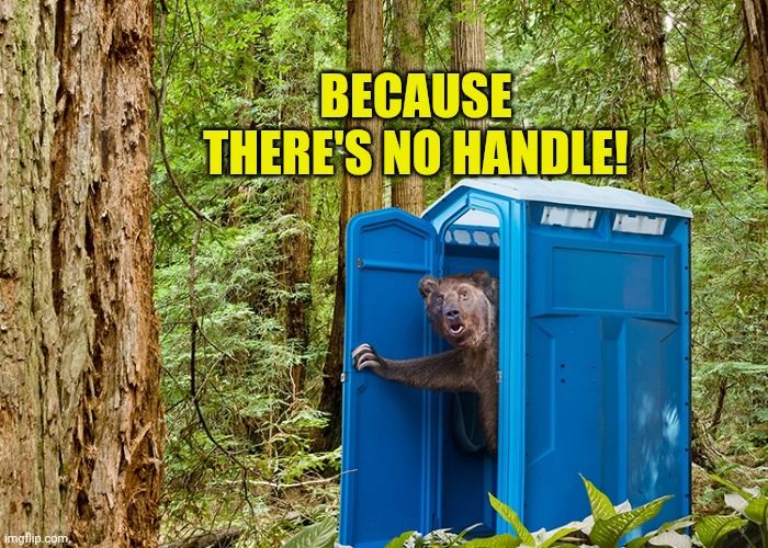 BECAUSE THERE'S NO HANDLE! | image tagged in outhouse bear | made w/ Imgflip meme maker