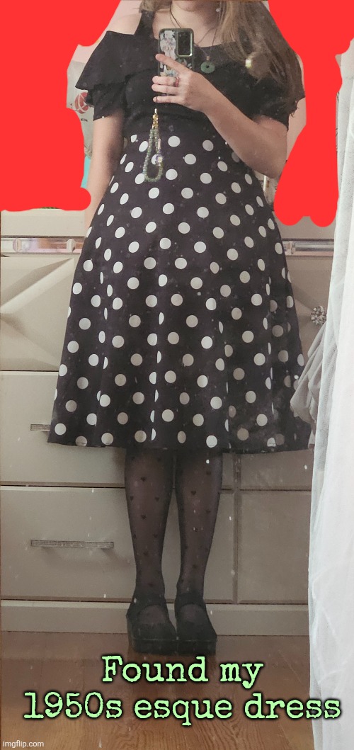 Found my 1950s esque dress | made w/ Imgflip meme maker