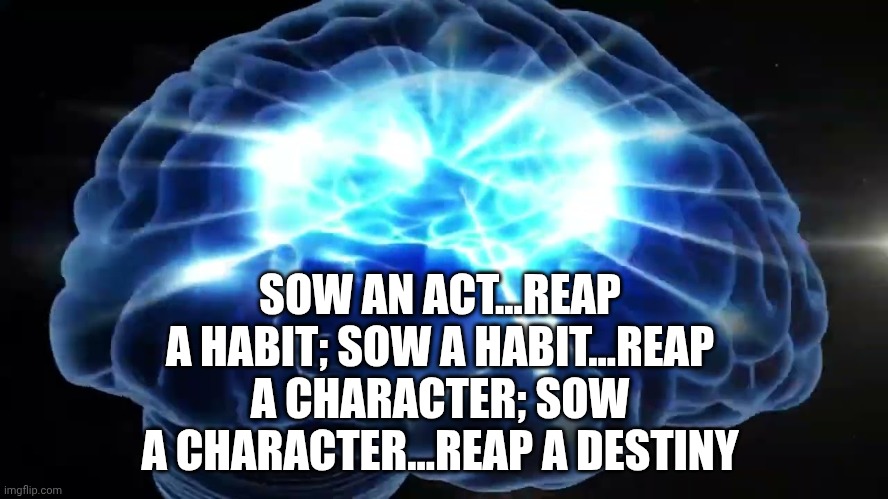 Inspire | SOW AN ACT...REAP A HABIT; SOW A HABIT...REAP A CHARACTER; SOW A CHARACTER...REAP A DESTINY | image tagged in but you didn't have to cut me off | made w/ Imgflip meme maker