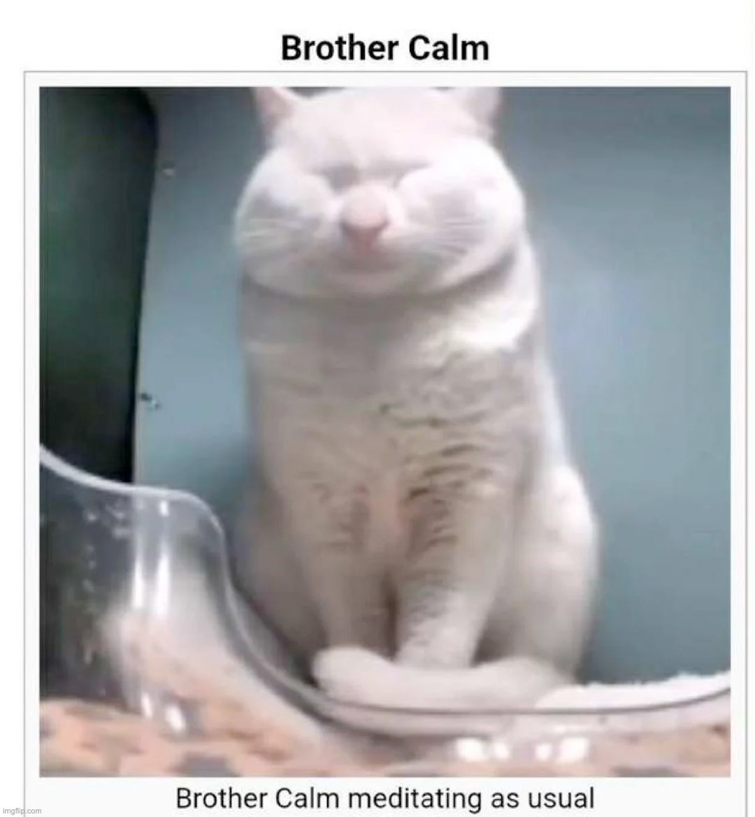 As usual | made w/ Imgflip meme maker