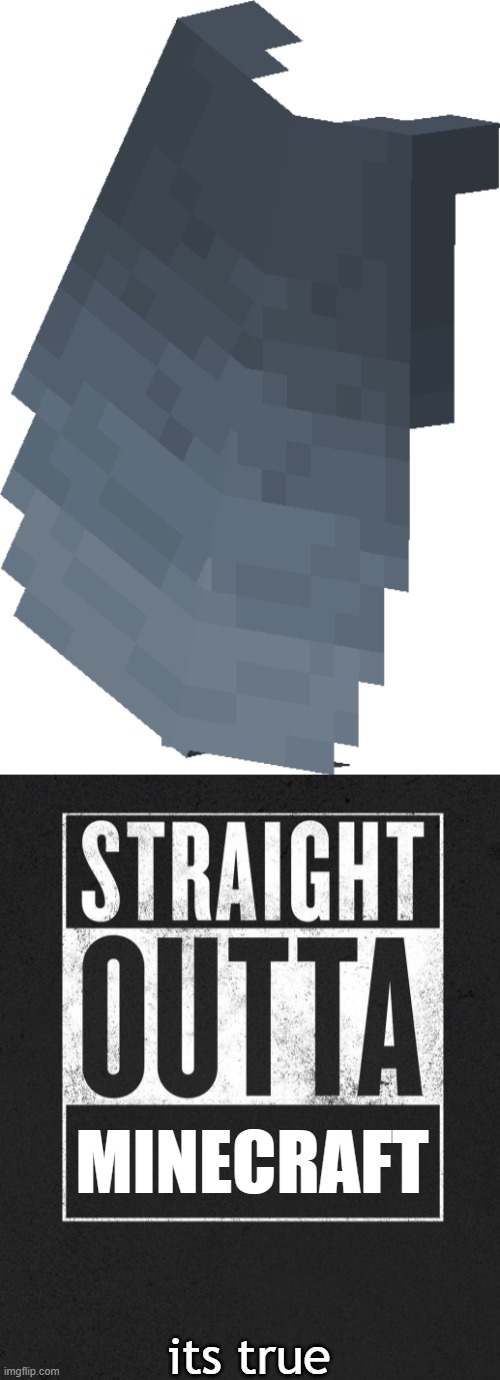 elytra. STRAIGHT outta minecraft | MINECRAFT; its true | image tagged in straight outta x blank template,elytra,minecraft | made w/ Imgflip meme maker