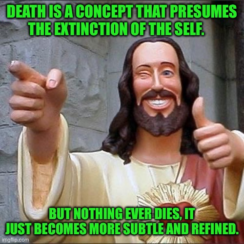 jesus says | DEATH IS A CONCEPT THAT PRESUMES THE EXTINCTION OF THE SELF. BUT NOTHING EVER DIES, IT JUST BECOMES MORE SUBTLE AND REFINED. | image tagged in jesus says | made w/ Imgflip meme maker