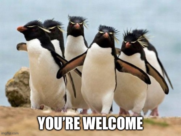 Penguin Gang Meme | YOU’RE WELCOME | image tagged in memes,penguin gang | made w/ Imgflip meme maker