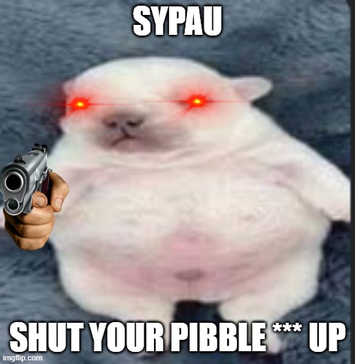 LISTEN TO PIBBLE | SYPAU; SHUT YOUR PIBBLE *** UP | image tagged in pibble,fun,shut up,stop reading the tags,why are you reading the tags | made w/ Imgflip meme maker