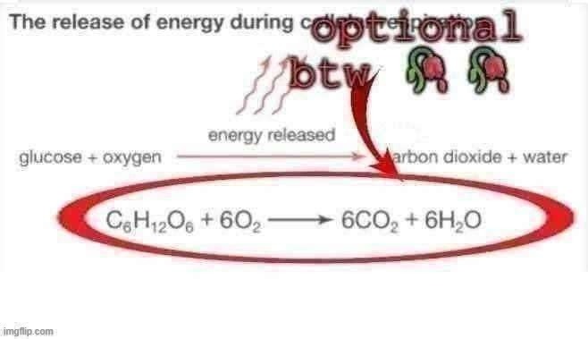 High Quality optional btw Blank Meme Template