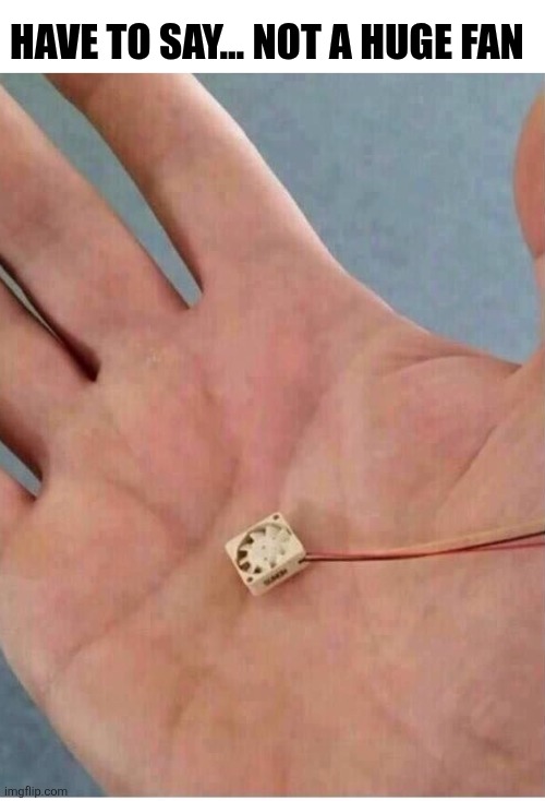 Have To Say... Not A Huge Fan | HAVE TO SAY... NOT A HUGE FAN | image tagged in chrisjoines1 | made w/ Imgflip meme maker