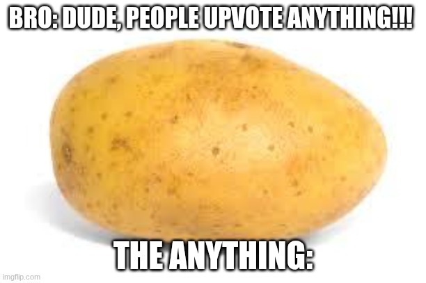 Potato | BRO: DUDE, PEOPLE UPVOTE ANYTHING!!! THE ANYTHING: | image tagged in potato | made w/ Imgflip meme maker